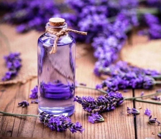 The Power of Essential Oils - FF Covic
